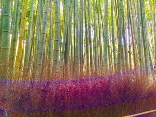 今のあなたに必要なパワーストーン選びます 一人一人今必要なパワーストーンを選びハッピーのお手伝いします イメージ1