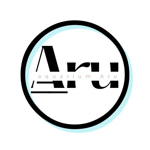 おしゃれなミニマルデザインを提供致します 初めてという方は是非お声掛けください。 イメージ2