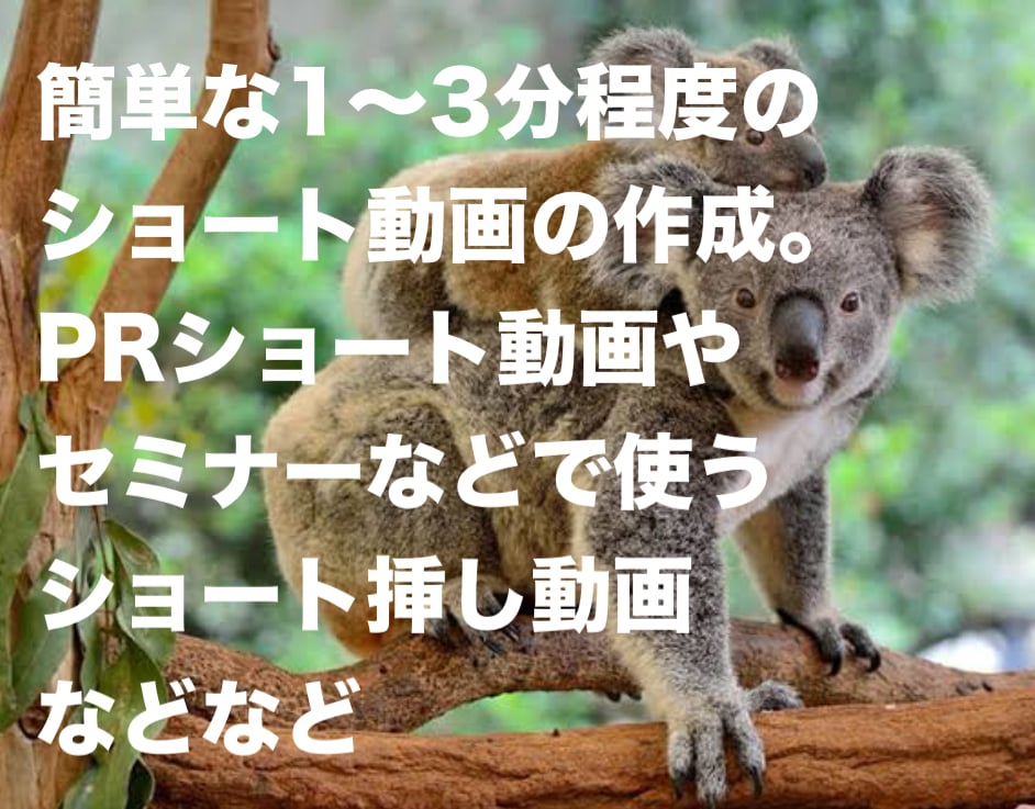 簡単はPRショート動画、挿し動画作成ます どんなショート動画でも作成します。1〜3分くらいの動画 イメージ1