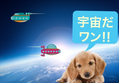 試し版  1枚のみ写真(画像)修正･加工をします 日本一の写真を美しく見せます。 イメージ2