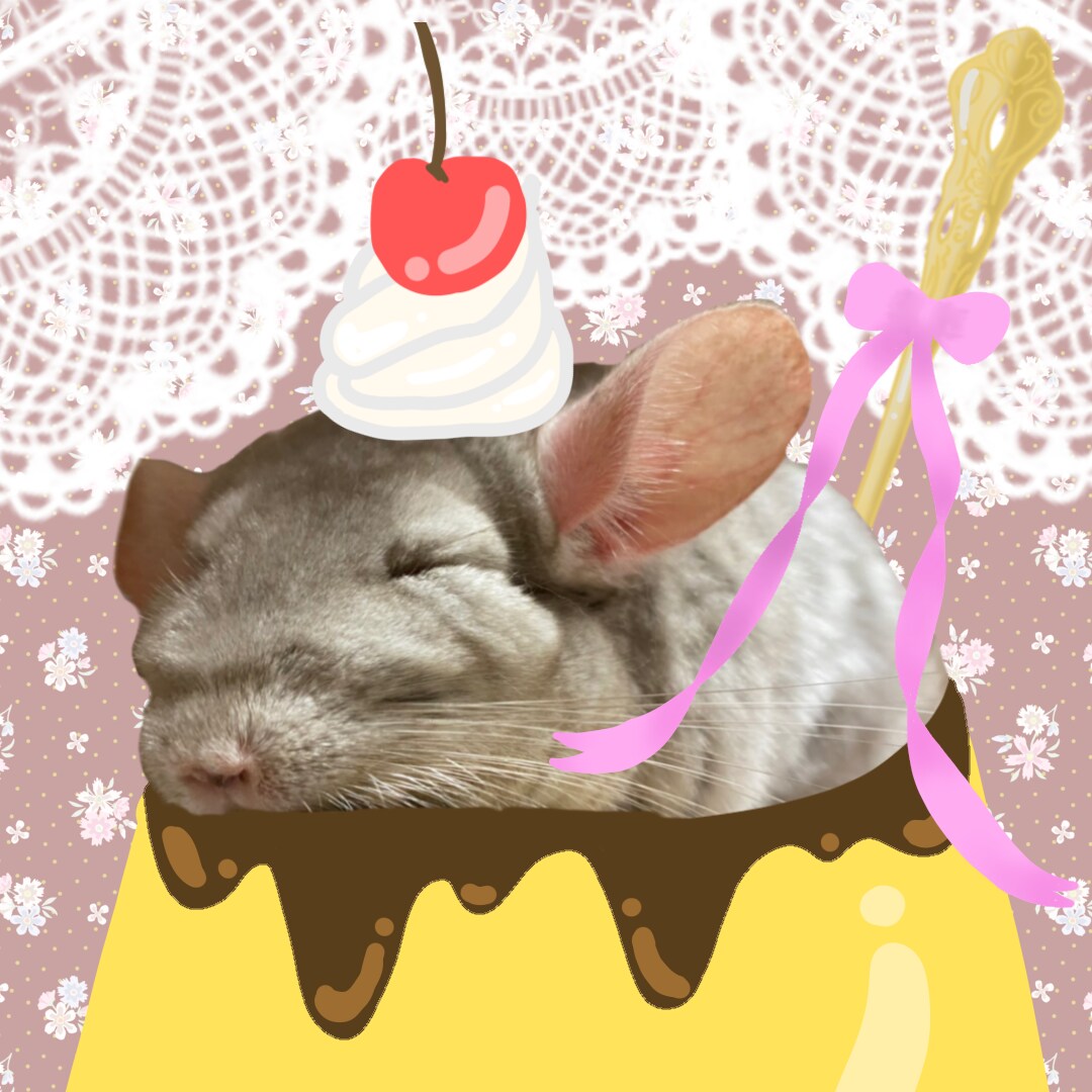 ペットの写真でオリジナルSNSアイコンを作ります <季節やテーマに沿ってペットの写真を使いイラストを作成> イメージ1