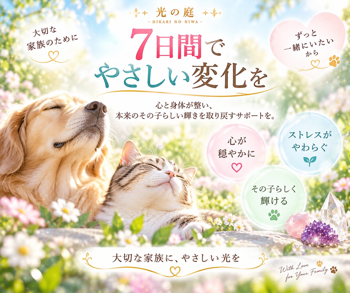 大切なペットを7日間クリスタルの光で癒します その子に合わせたクリスタルを選び、7日間やさしく寄り添います イメージ7