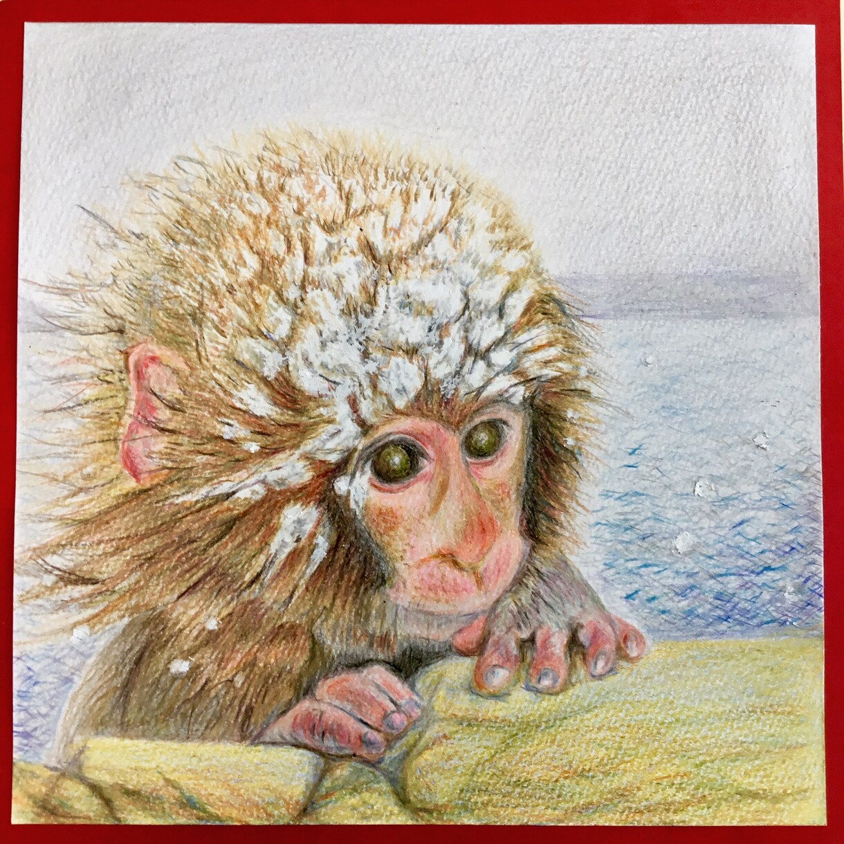 あなたのペットを色鉛筆で可愛く優しく描きます インスタでも描いた絵を沢山アップしています イメージ6