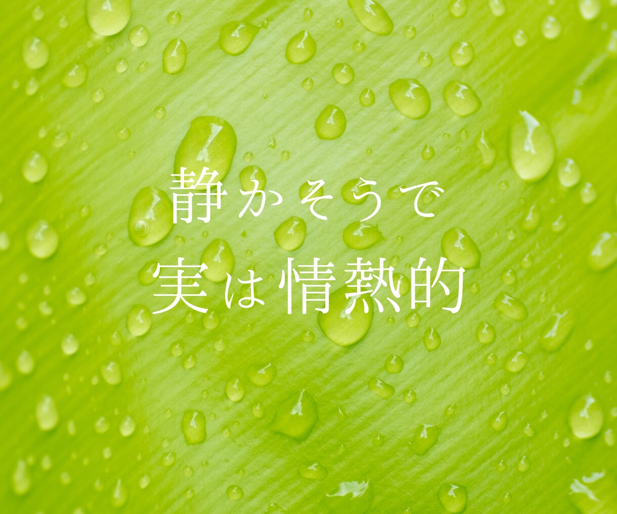 1分からOK！INFPさんのお話をお聴きします どんな話題でもOK！同じくINFPが話し相手になります。 イメージ4