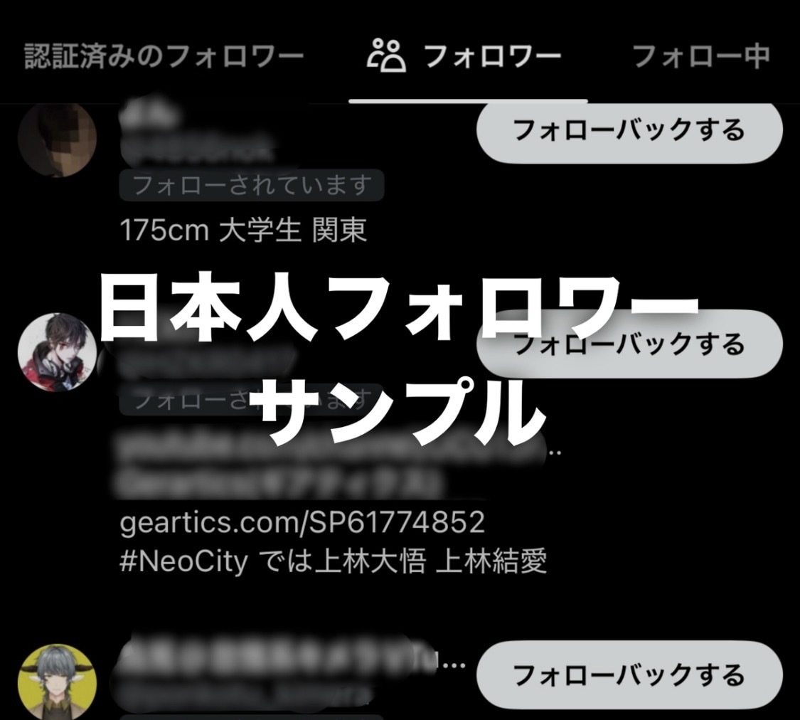 Twitterを拡散し日本人フォロワーを増やします X日本人フォロワー増加！最大30,000人対応可能！ イメージ3