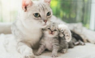 二人の未来♡相性を占います 運命の流れ＆あの人との今後を占ってみませんか？ イメージ5