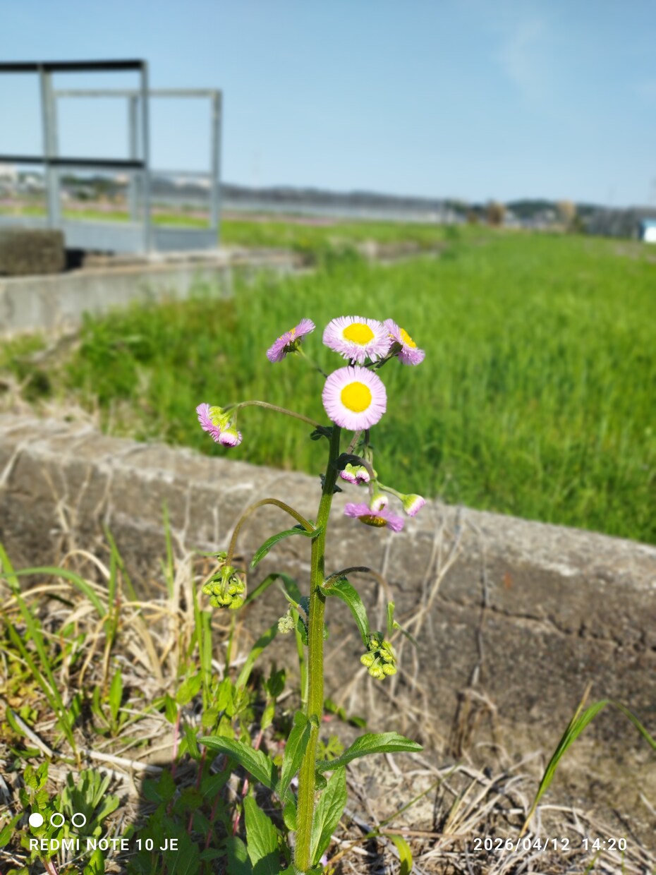 商用利用OKの写真販売(景色　自然　など)をします おしゃれでSNSやブログなどに使いやすい写真を厳選しました。 イメージ1