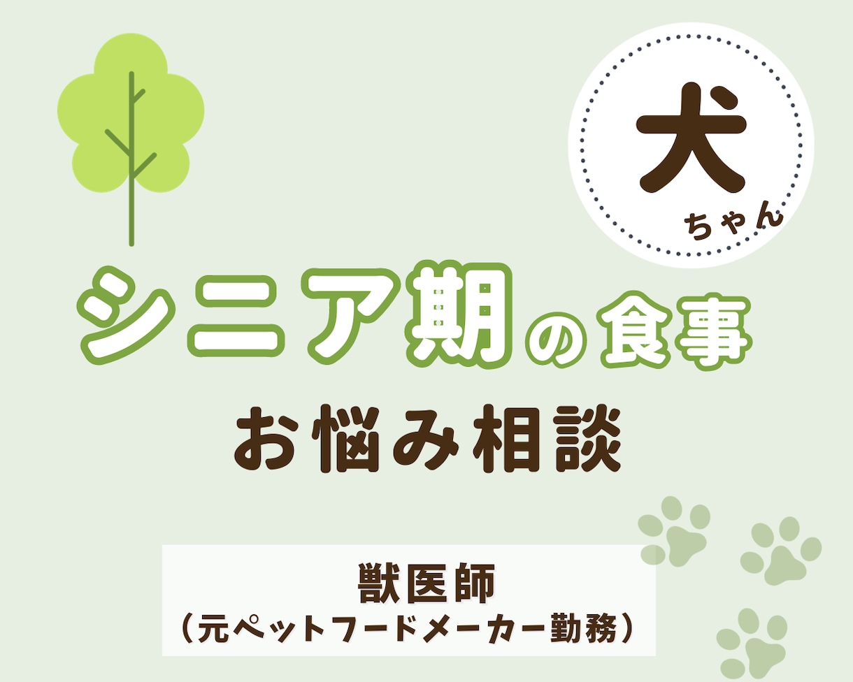 獣医師が『シニア犬』の食事相談にのります "ちょっと気になる"疑問をサポートします♪ イメージ1