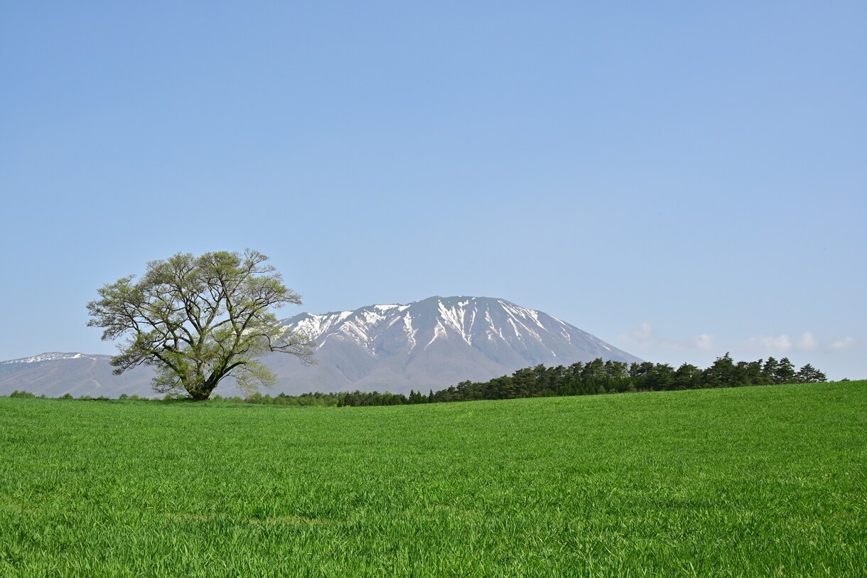 東北を代表する山・岩手山と花々の写真を提供します 東北を代表する山・岩手山と花々 イメージ1