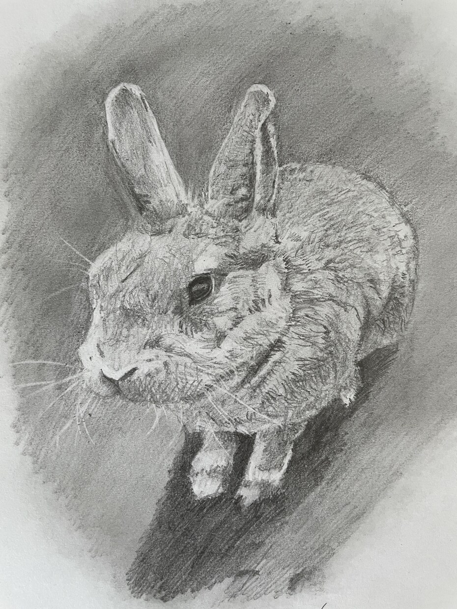 色紙にペット似顔絵をデッサンします 愛するペットの絵を飾って、愛情&運気アップ！ イメージ5