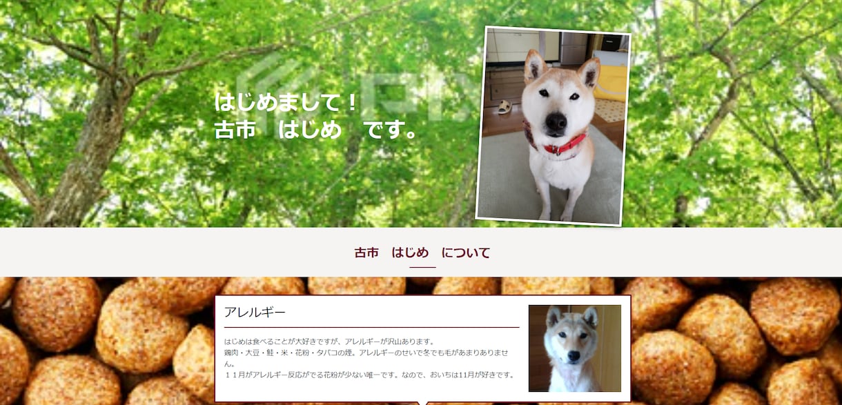 プレゼントもOK!！　大事な家族の迷子タグ作ります QRコードで納品するので首輪・ハーネスに貼ることができます！ イメージ4