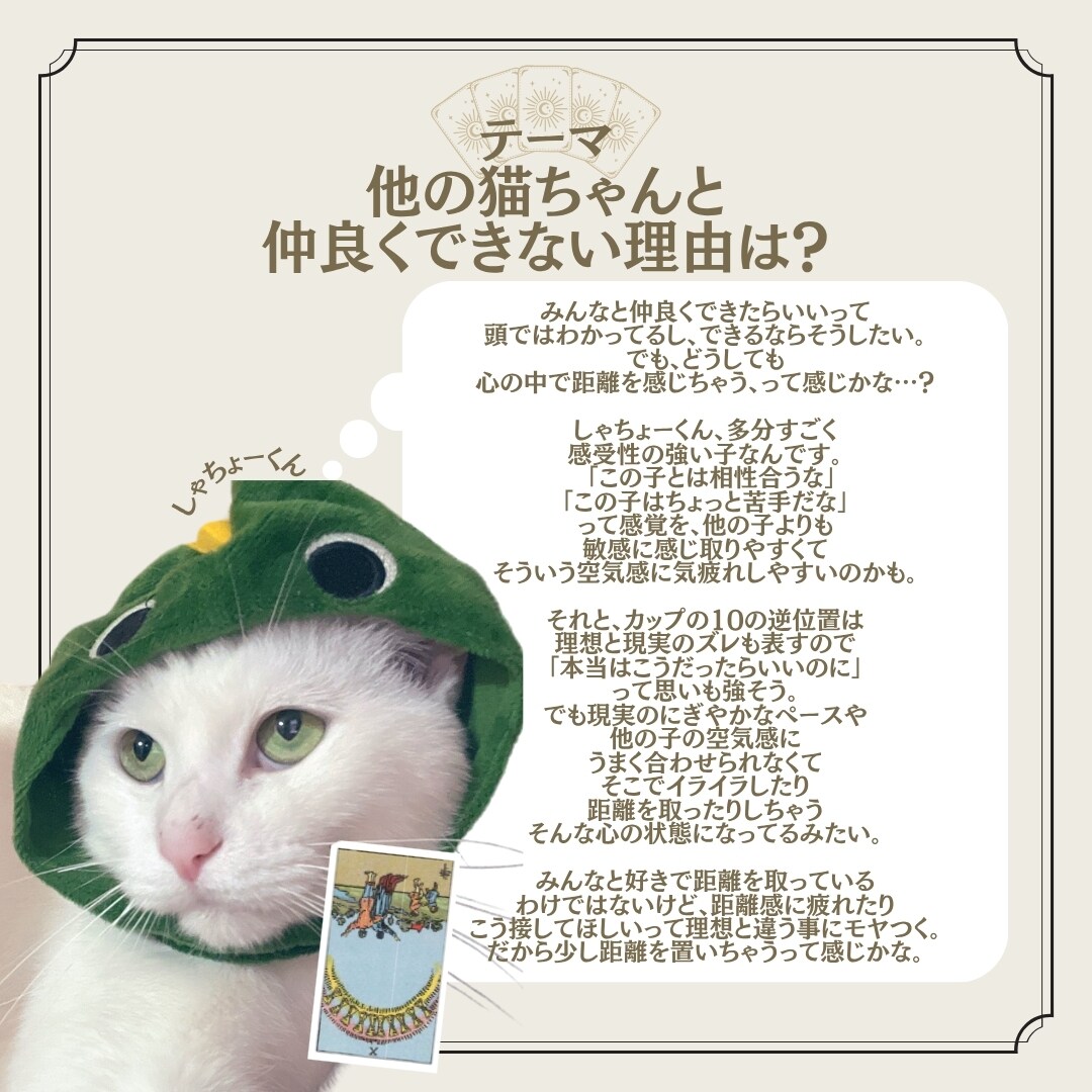 1枚引きで大切な家族の気持ちを占います タロットカード：ペットちゃんの気持ち占い イメージ2