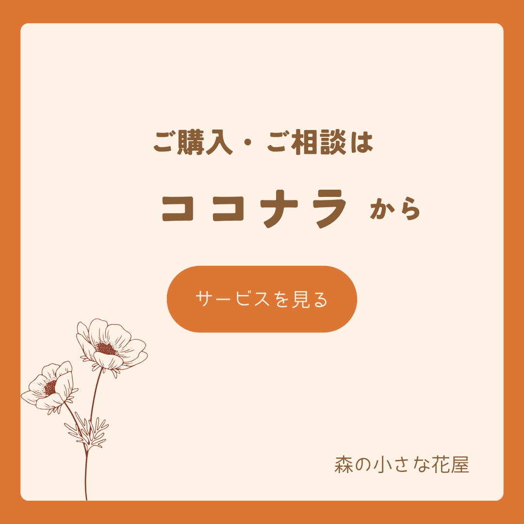 小さなお店のInstagram投稿を3枚作ります ご希望の方には、Canva編集リンク付きで納品します イメージ4