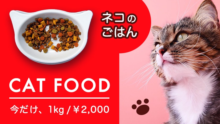 広告・バナーデザインします Web広告・バナー・SNS用画像・サムネイルなど イメージ3