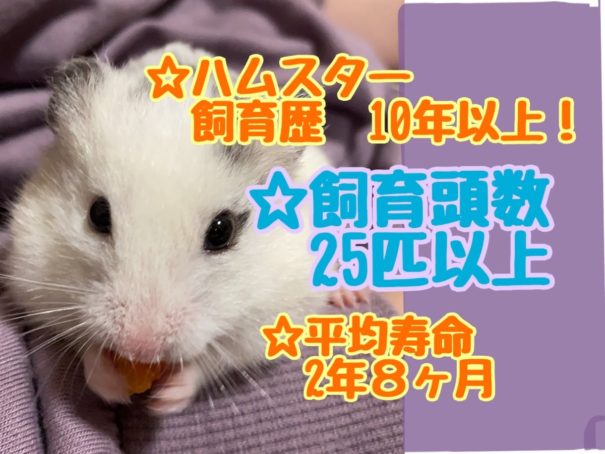 小動物のお悩み相談のります 飼育初心者さん大歓迎です٩(^‿^)۶ イメージ2