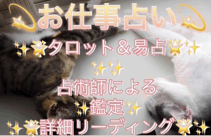 人生に行き詰まった方へ、サイキック&神託で観ます 未来へ向けての可能性と、どんな心の準備をすれば良いか観ます イメージ4