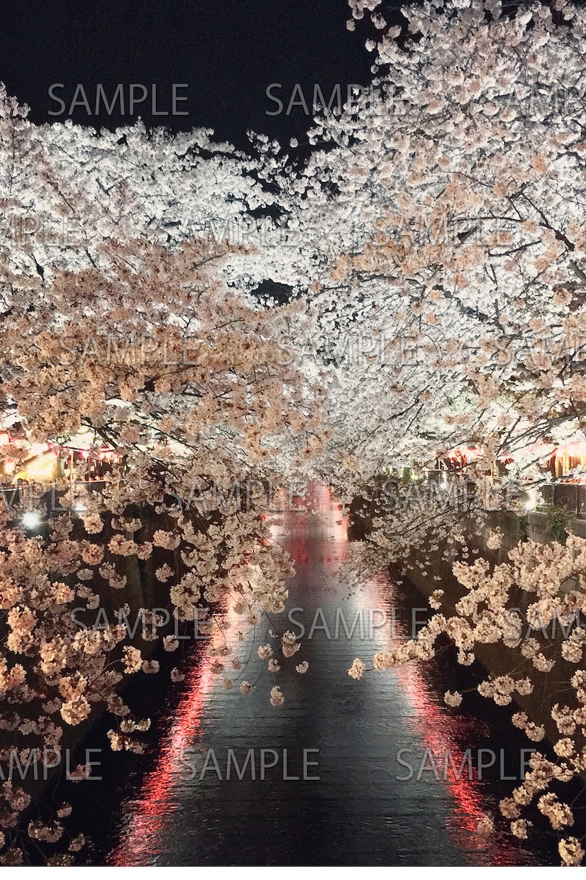 汎用性が高い！著作権フリーの写真素材を提供します 有料素材サイトよりも低価格で購入可能！(8/18素材更新) イメージ9