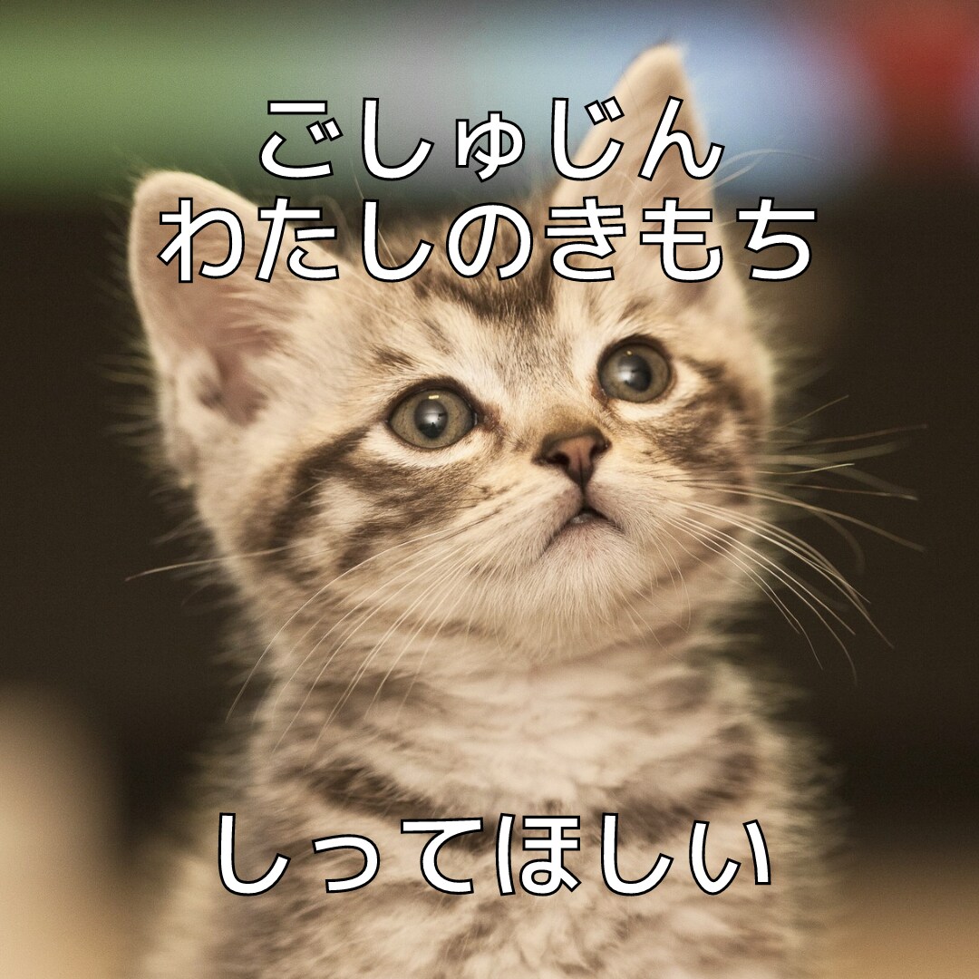 なぜ！？噛む逃げる！愛するペットの気持ちを届けます 貴方の愛の心をお届けすることで変化を実感 イメージ9
