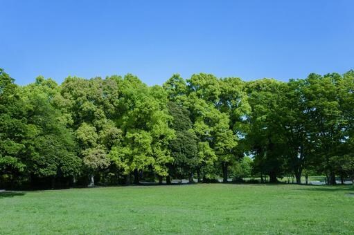 あなたの人見知り仲間になります 人見知りな人、自分らしさをここで見つけませんか? イメージ9