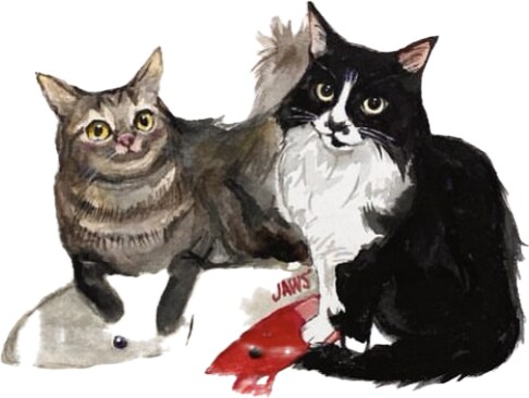 透明水彩を使用。可愛い猫の似顔絵を手描きで描きます ペット／猫／プレゼント／アート（※ワンコは別出品です） イメージ6