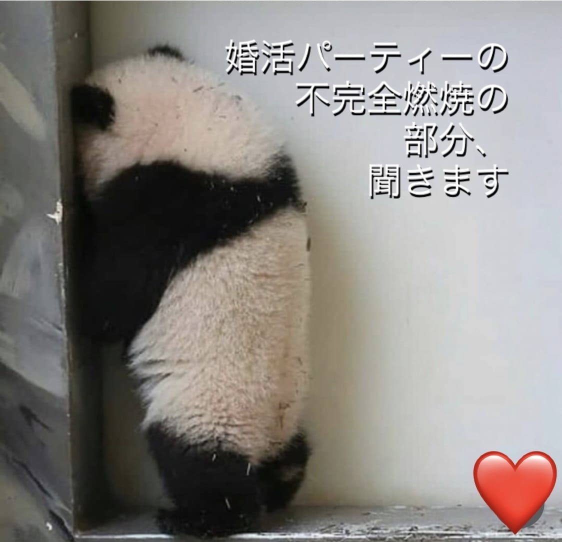 婚活パーティーの不完全燃焼の部分、聞きます 次回のために不完全燃焼だった部分を振り返ってみましょう。 イメージ2
