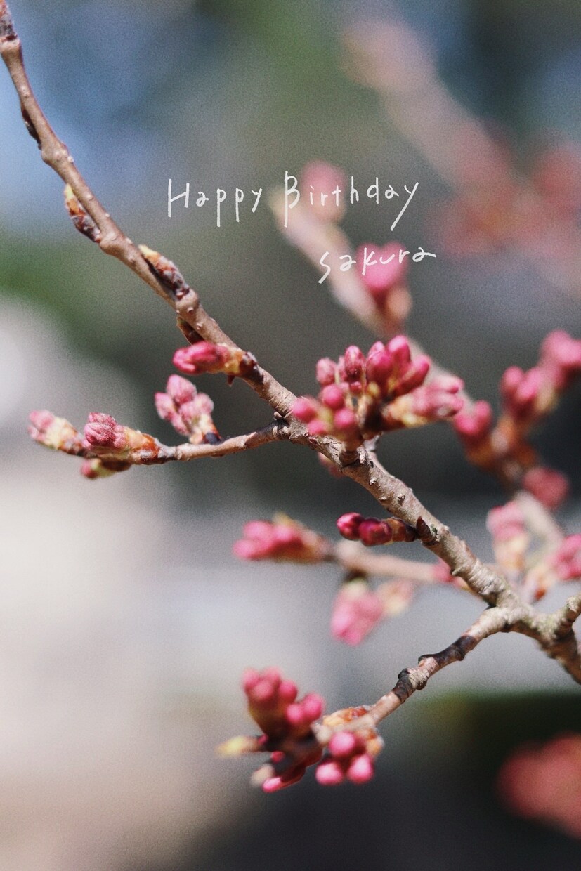 sns用記念日・子ども向け写真に文字入れします その一日に、ちょうどいい言葉を。 イメージ6
