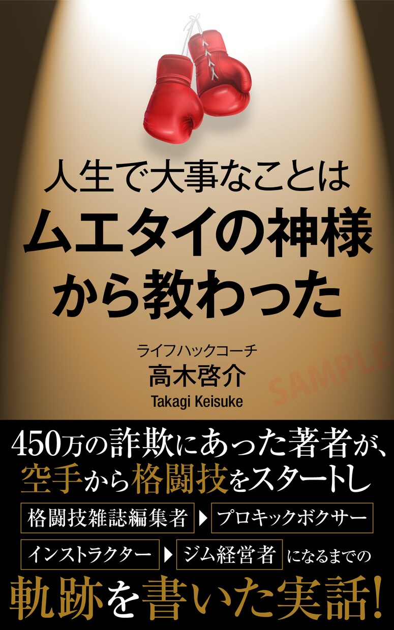 オンラインでキックボクシングお教えします 自宅でこっそり強くなる！アナタだけのオリジナルカリキュラム！ イメージ4