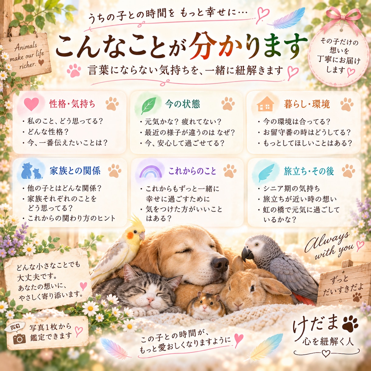 大切なあの子の想いを優しくお届けします ペットの気持ちをやさしくつなぐメッセージ イメージ9