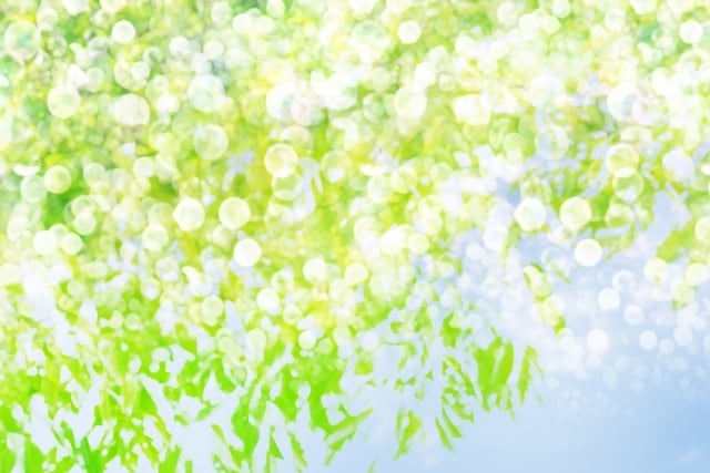 本来の魂の光✨に還るヒーリングをします ○―●―○―●―○―●―○―●―○―●―○―●―○ イメージ1