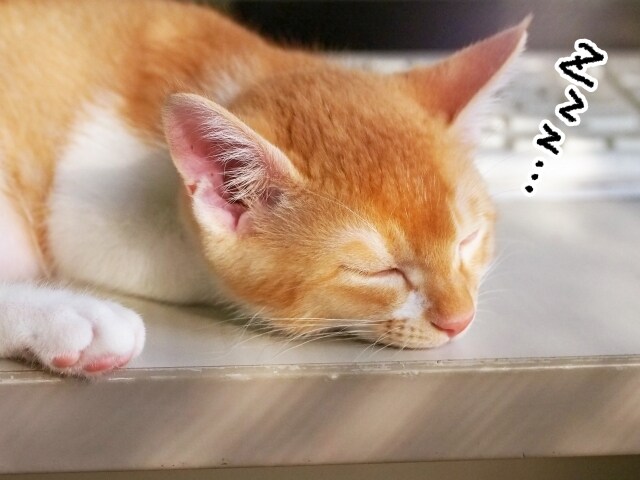 何時からでも大丈夫❤️眠くなるまでお話ききます 眠れぬ夜にあなたのそばに寄り添います♪ イメージ1