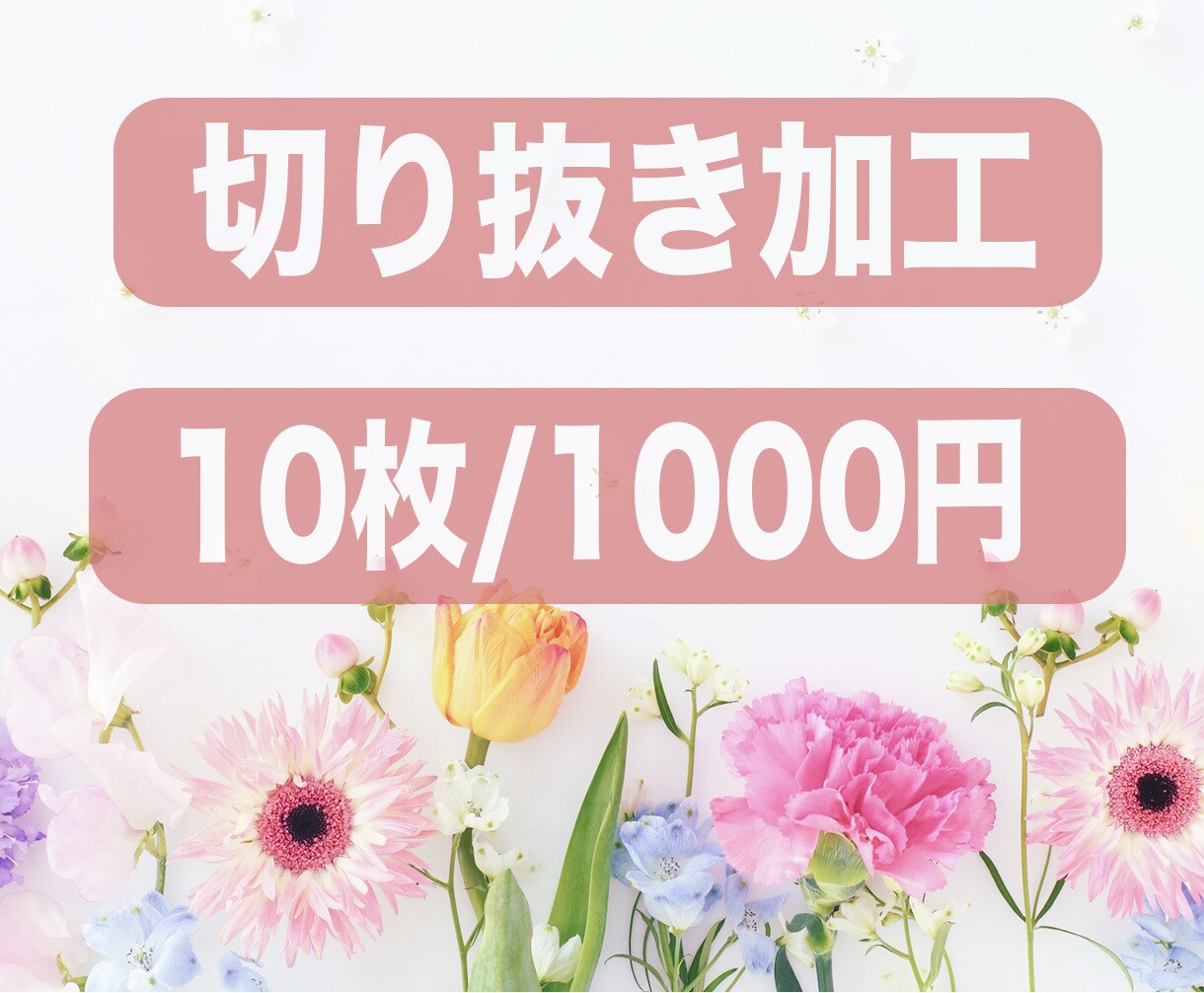 画像の切り抜き・白抜き加工します Photoshopで丁寧、迅速に対応いたします！ イメージ1