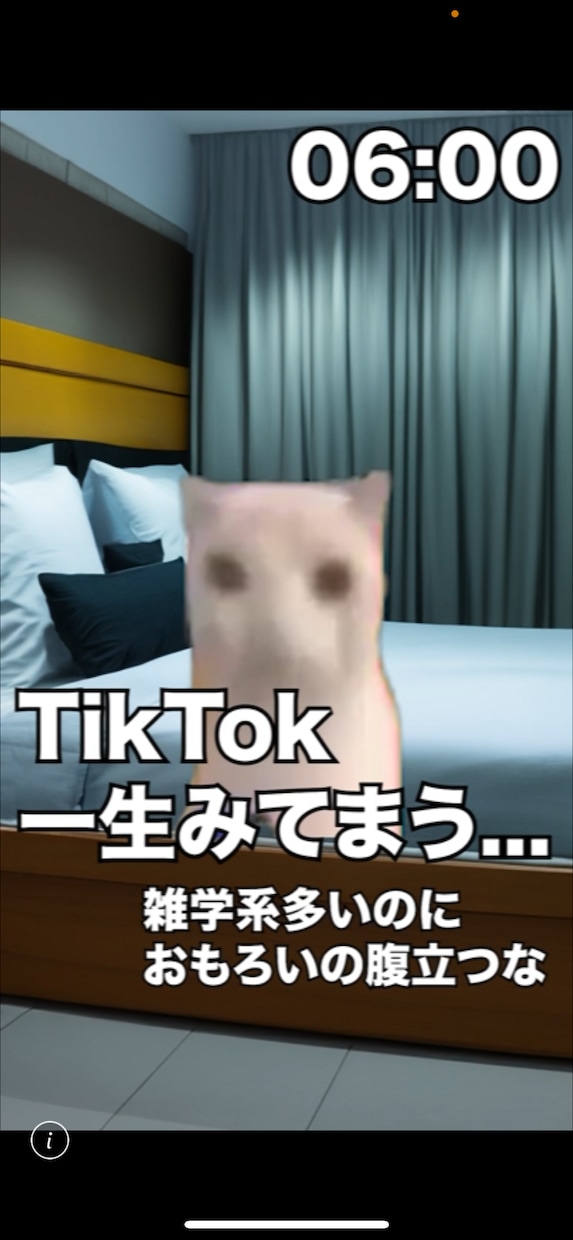 流行りの猫ミーム動画の制作を行います YouTubeshortsやTiktokなどへ投稿したい方へ イメージ3