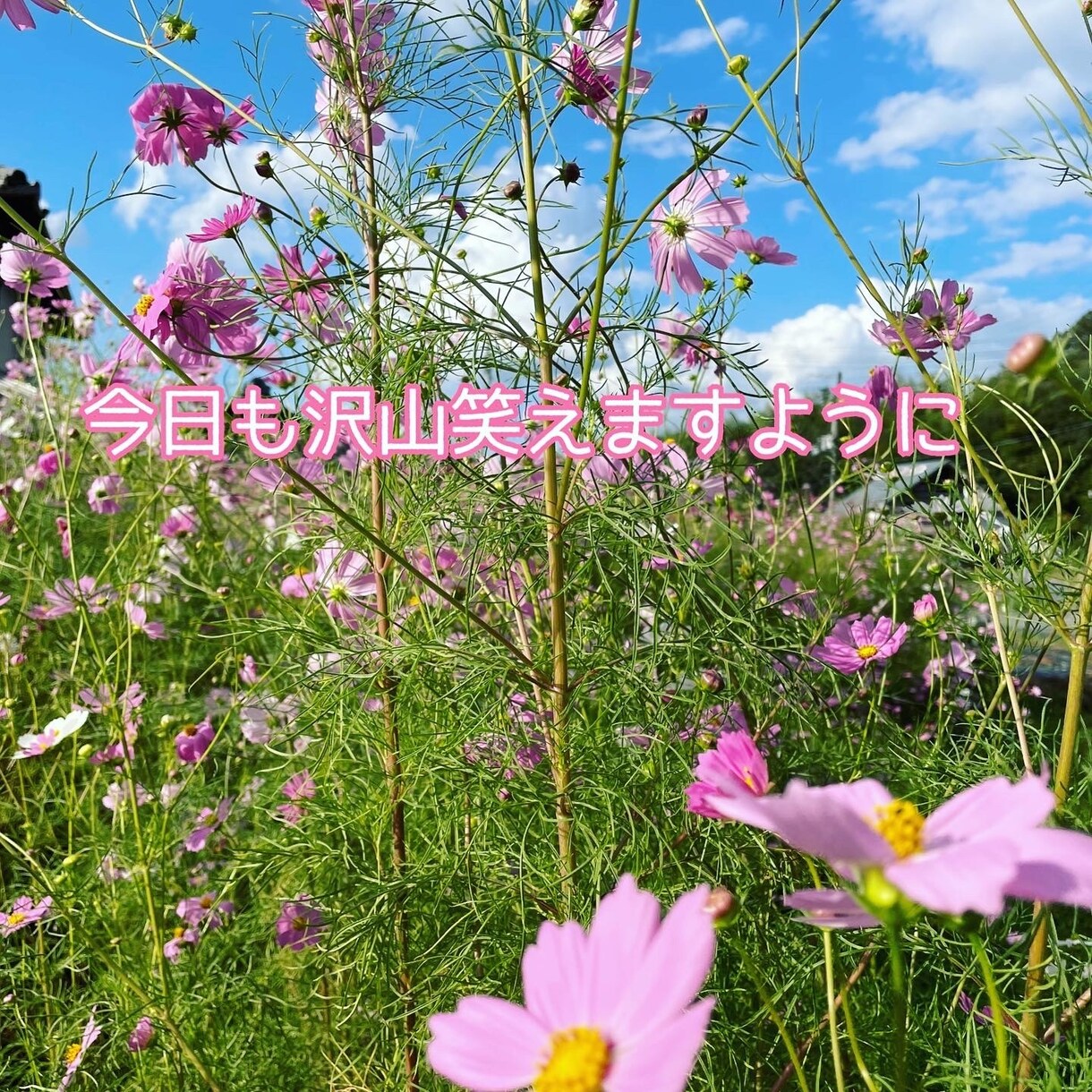 どんなお話しでも優しくお聞きして受け止めます 今すぐ誰かに話したい時、私に話してくださいね イメージ2
