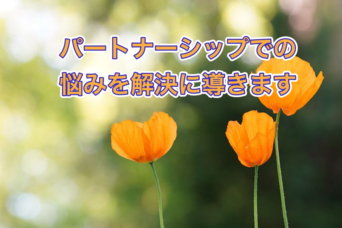パートナーシップでの悩みを解決に導きます パートナーシップでの悩み解決しちゃおう。 イメージ1
