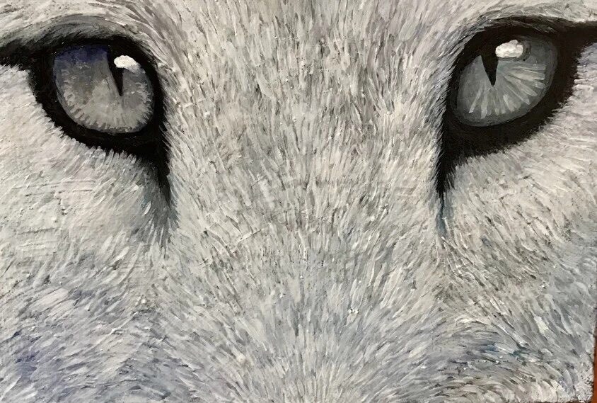 動物の肖像画を画家兼デザイナーがお描きします 手描きならではの温かみを大切にしています イメージ4