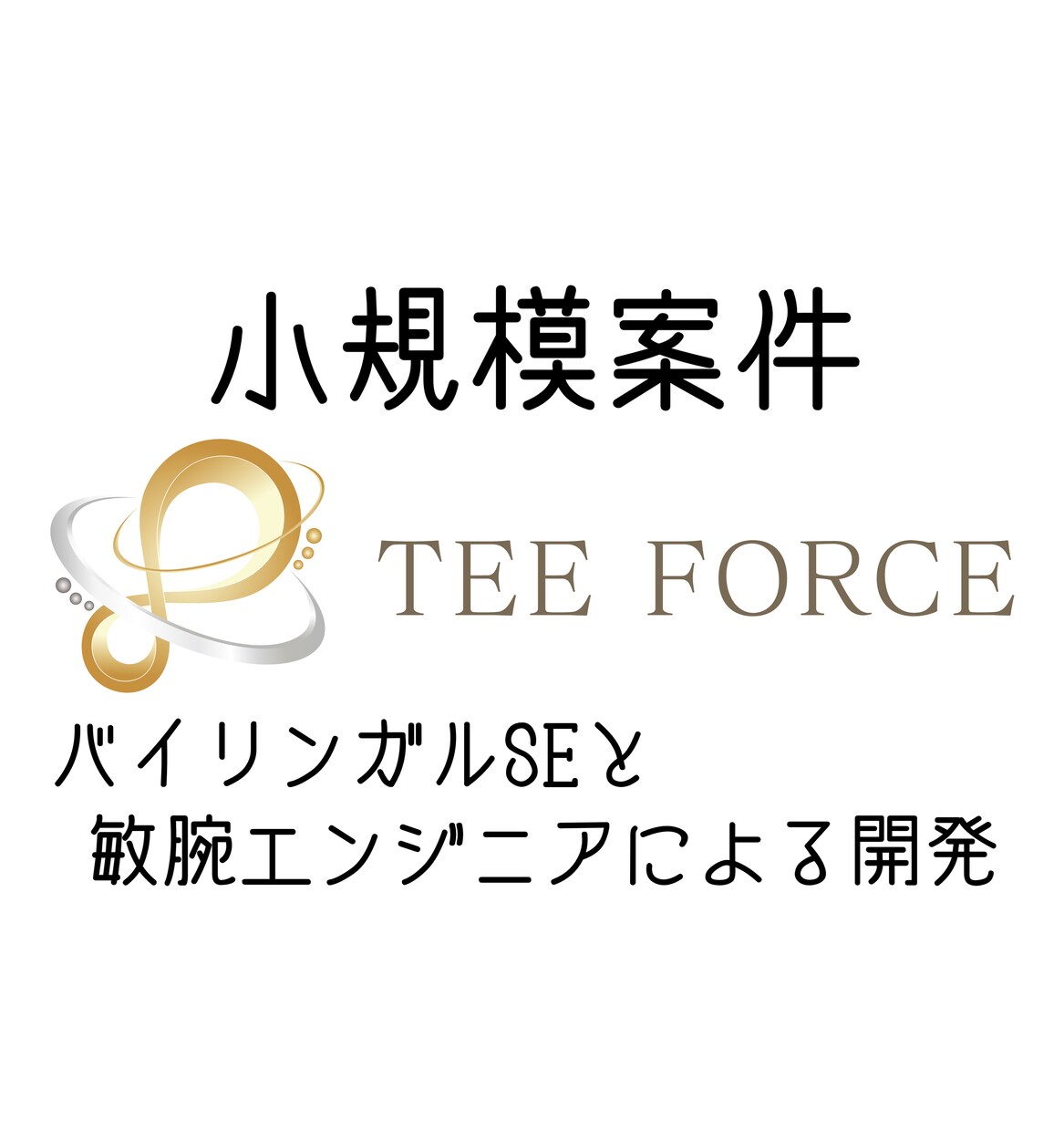 小規模のシステム開発や保守運用を行います コスト以上のハイエンドなシステムが貴方の会社を支えます! イメージ1