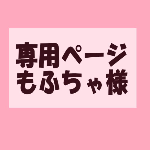 専用ページになります 専用出品になります。（もふちゃ様） イメージ1