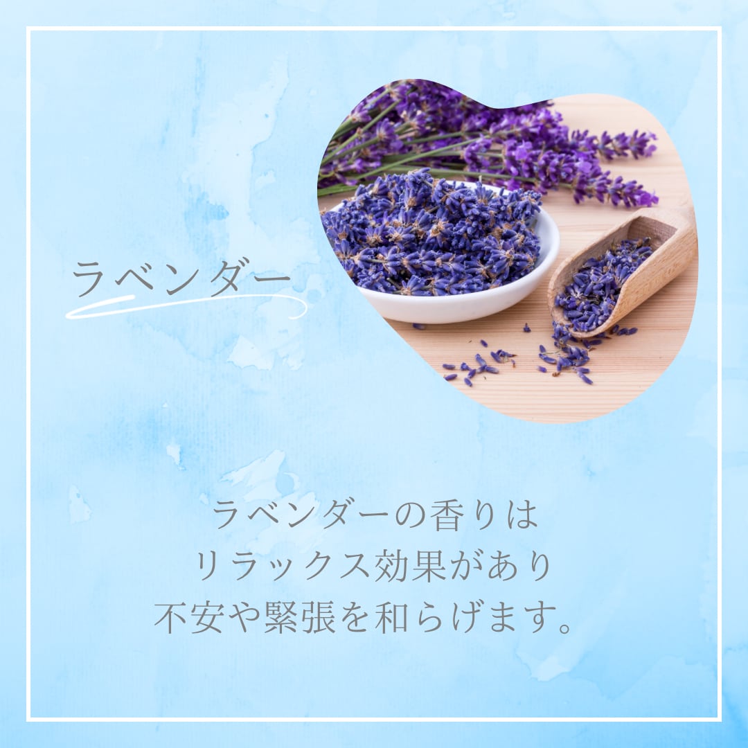 Instagramの投稿テンプレート作ります サロンやクリニック、カフェなどのInstagramに。 イメージ2