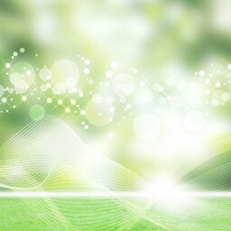 ２つの質問までＯＫ☆お悩み全般、霊視鑑定致します ＹＥＳかＮＯで答え、メッセージをお伝えします☆ワンコイン鑑定 イメージ2