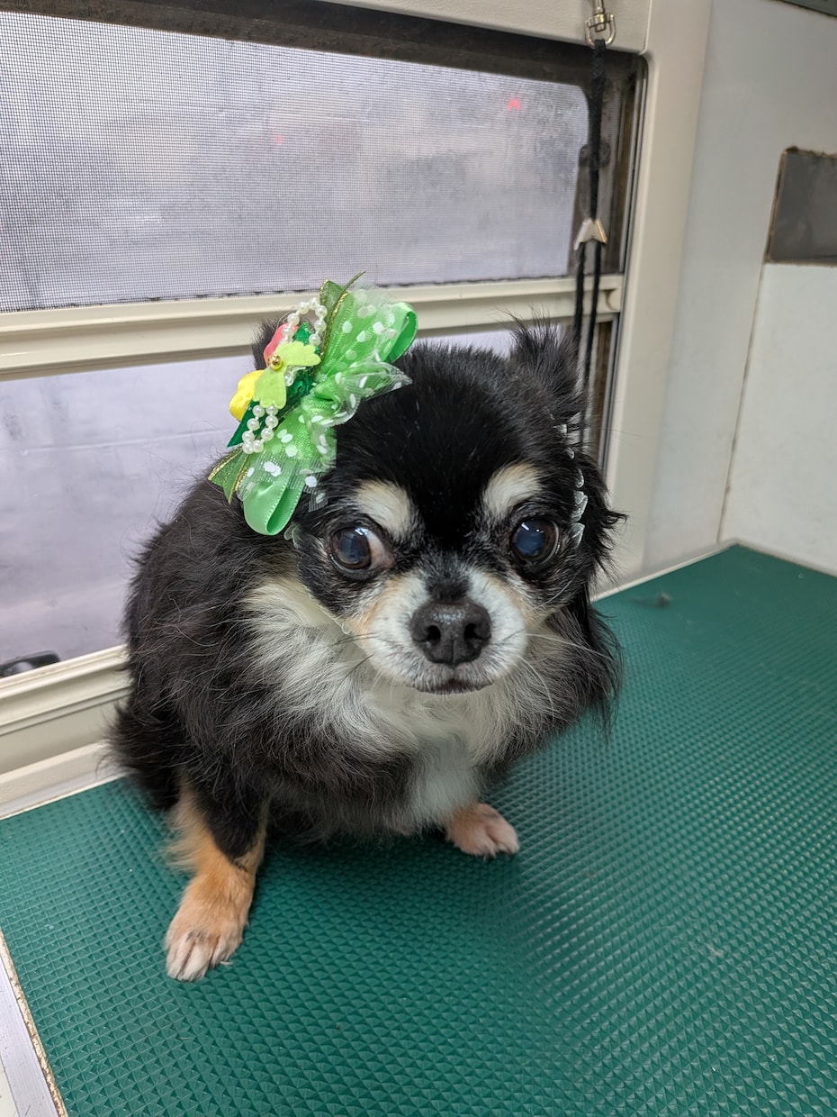 店舗なしで月収UP！店舗なしでの独立相談に乗ります 週休3日で稼ぐ仕組み！移動サロンの集客と運営術を伝授します イメージ5