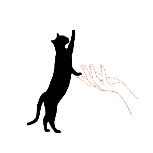 猫の手相談室～否定せず、静かにお話お聞きします そっと話して気持ちを整える場所。がんばりすぎた心に猫の手を イメージ1