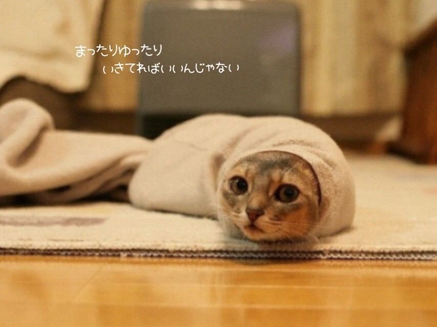 お話聞きます お話相手になります♡なんでもOK！ イメージ1