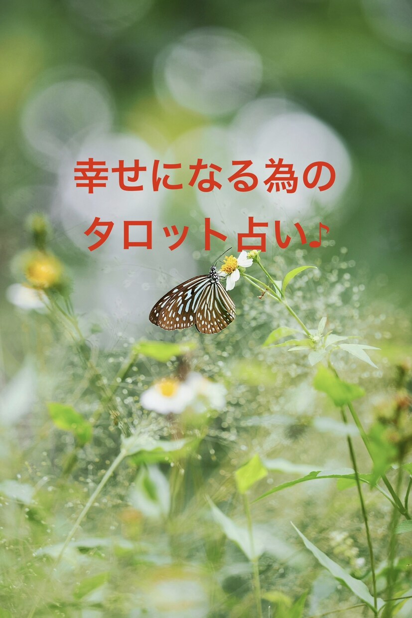 電話相談された方限定◆じっくりタロット鑑定します AI占いでは満足出来ない方、お聞きしたお悩みを深く占います イメージ2