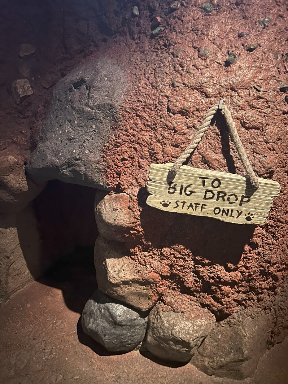 東京ディズニーパークのプラン作成を代行します あなただけの最適プランに元キャストのハウツーを沿えてお届け！ イメージ8