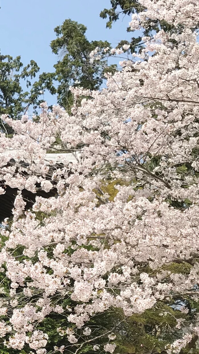 夫婦間の相談に乗ります 浮気されたけれど、夫婦関係の再構築を希望される方へ イメージ1