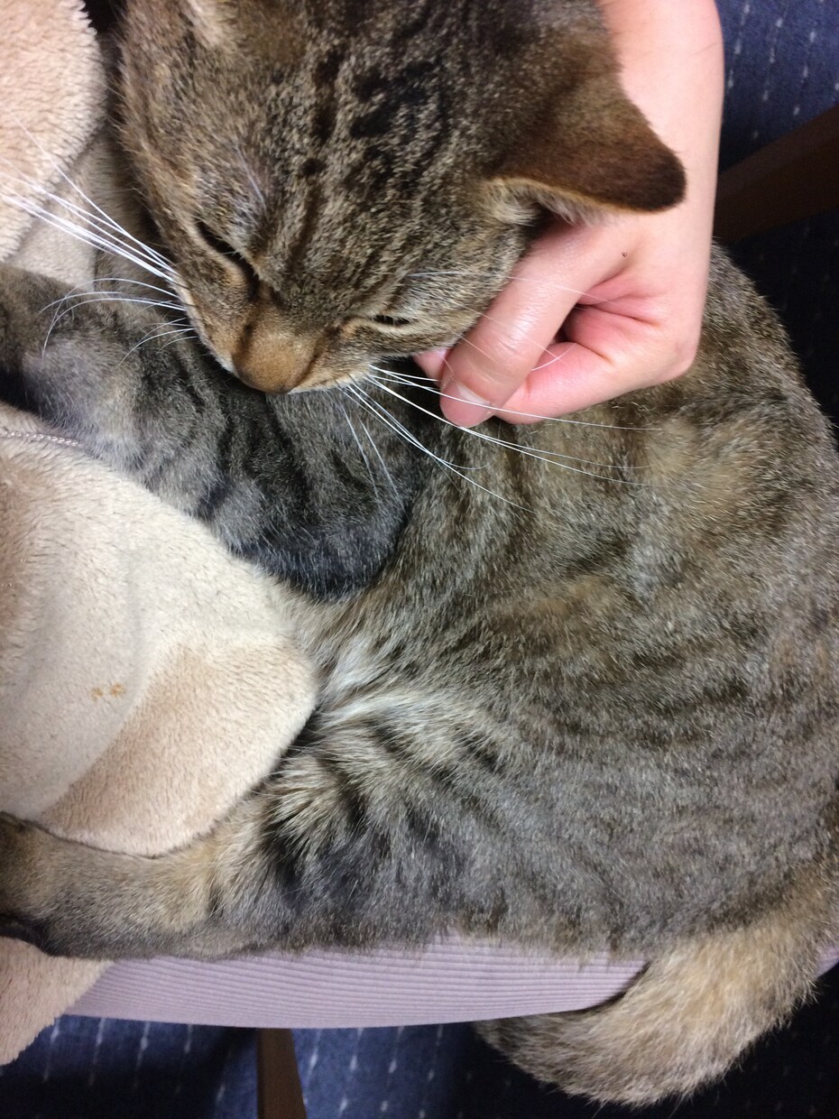 ずっとあなたを励まします 何でもお話しを聞き、否定せず、ずっとあなたを励まし応援します イメージ1