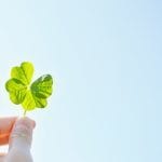 ダウジングでYES NOで占います ワンコイン¥500☆貴方の悩みをYES NO☆ イメージ1