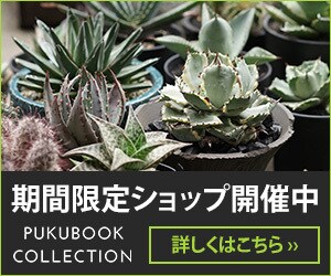 WEB用画像（バナー・ヘッダーetc）制作します 各種SNSヘッダー、サムネイルにも対応！即対応します！ イメージ5