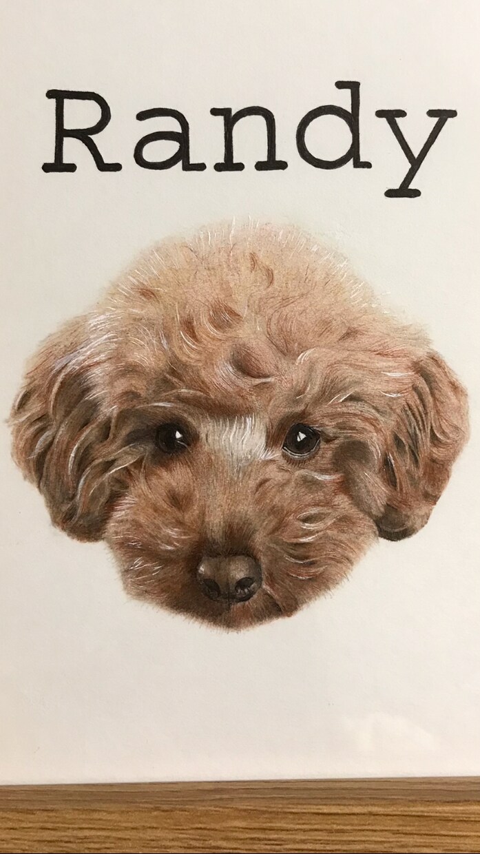 色鉛筆で人物、ペットの似顔絵、肖像画をお描きします 【A4サイズ】心を込めてお描きします！贈り物や記念にどうぞ♪ イメージ2