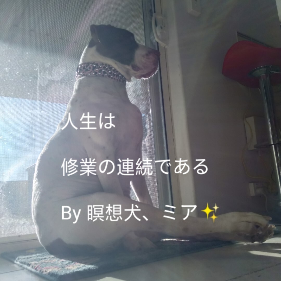 人に言えない悩みは色々あります！人生相談承ります もやもやしている問題を解決できるよう、お手伝いさせて下さい！ イメージ1